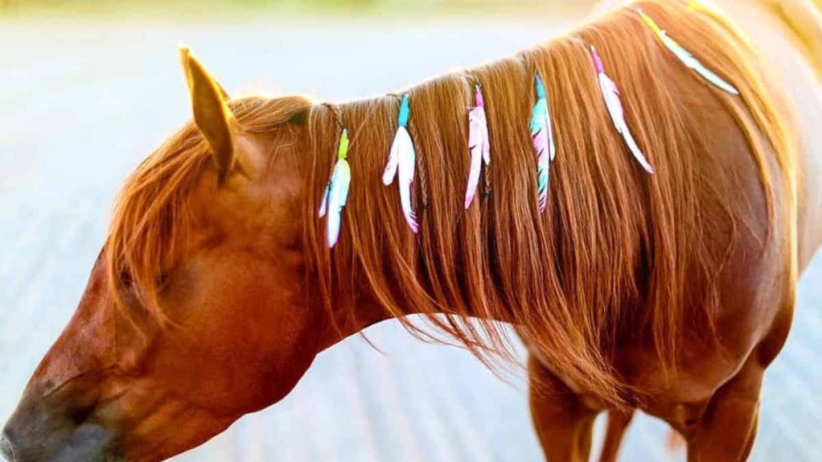Unique Unicorn Feathers - COWGIRL Magazine display picture 1