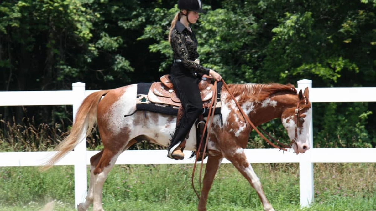 Cow Ride Position Get Your Body In The Correct Position For Western Riding - COWGIRL Magazine