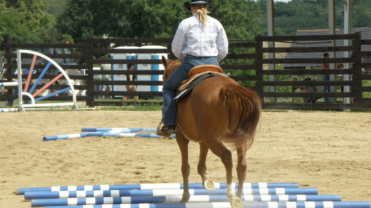 Ground Appole Mix Up Your Riding With Ground Poles - COWGIRL Magazine