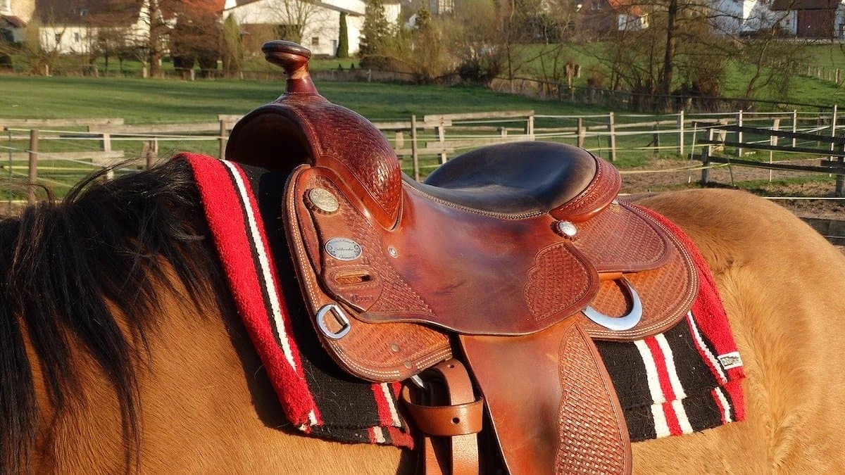 Get A Free Saddle Fitting Template! COWGIRL Magazine
