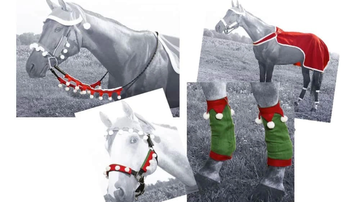 how to dress your horse up for christmas Pony rides Size:XL/10-12 Formal French Silhouette Candy Cane Dress -