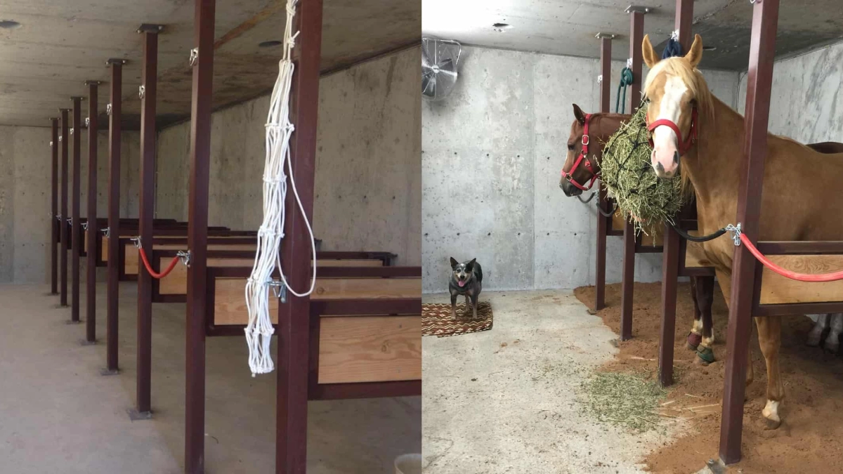 A Safe Room For Horses - COWGIRL Magazine