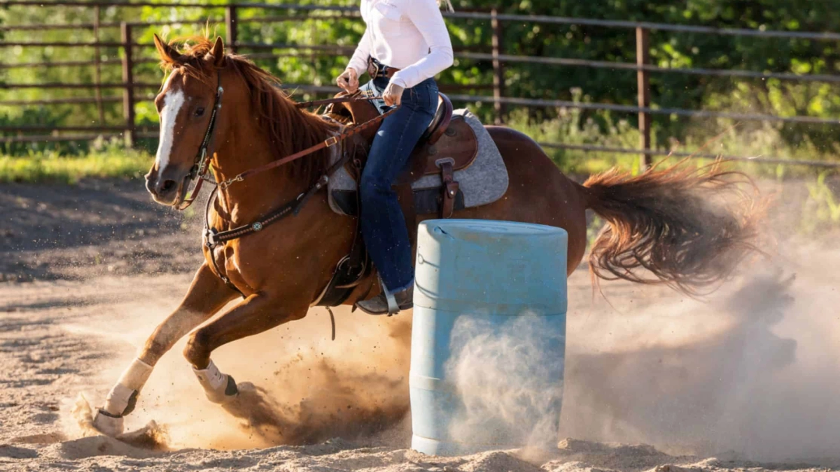 alltech cowgirl magazine
