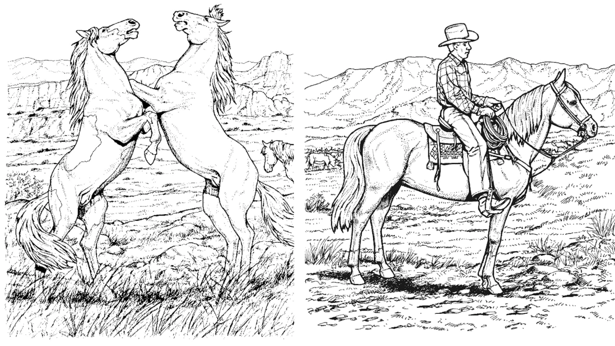 horse coloring pages realistic
