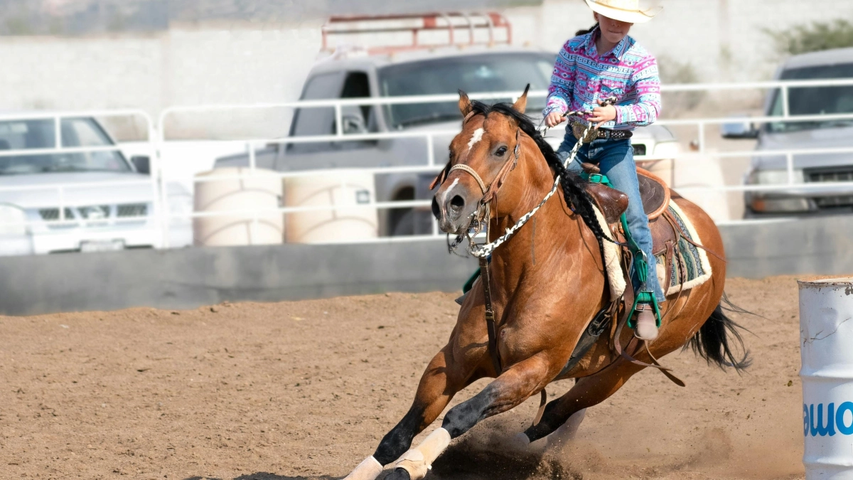 Introducing The Barrel Pattern To A Young Horse