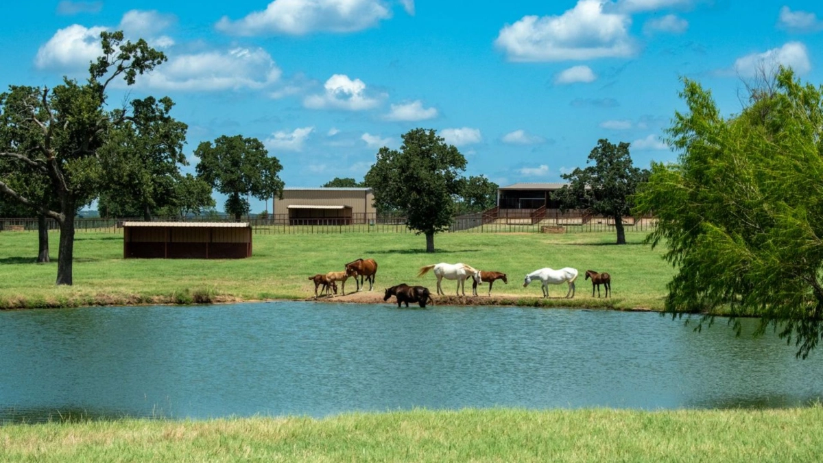 Tr9 Ranch Theorem Ranch Acquires Teton Ridge’s Iconic TR9 Ranch & Equestrian ...