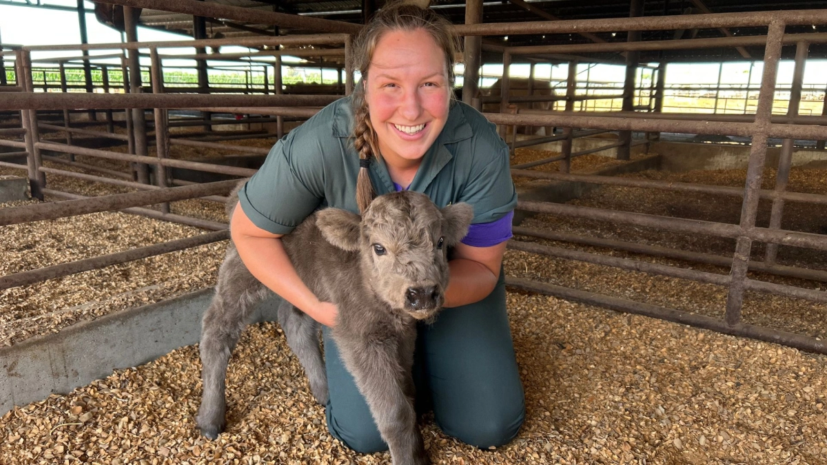 Dr. Audra Jones holds a calf
