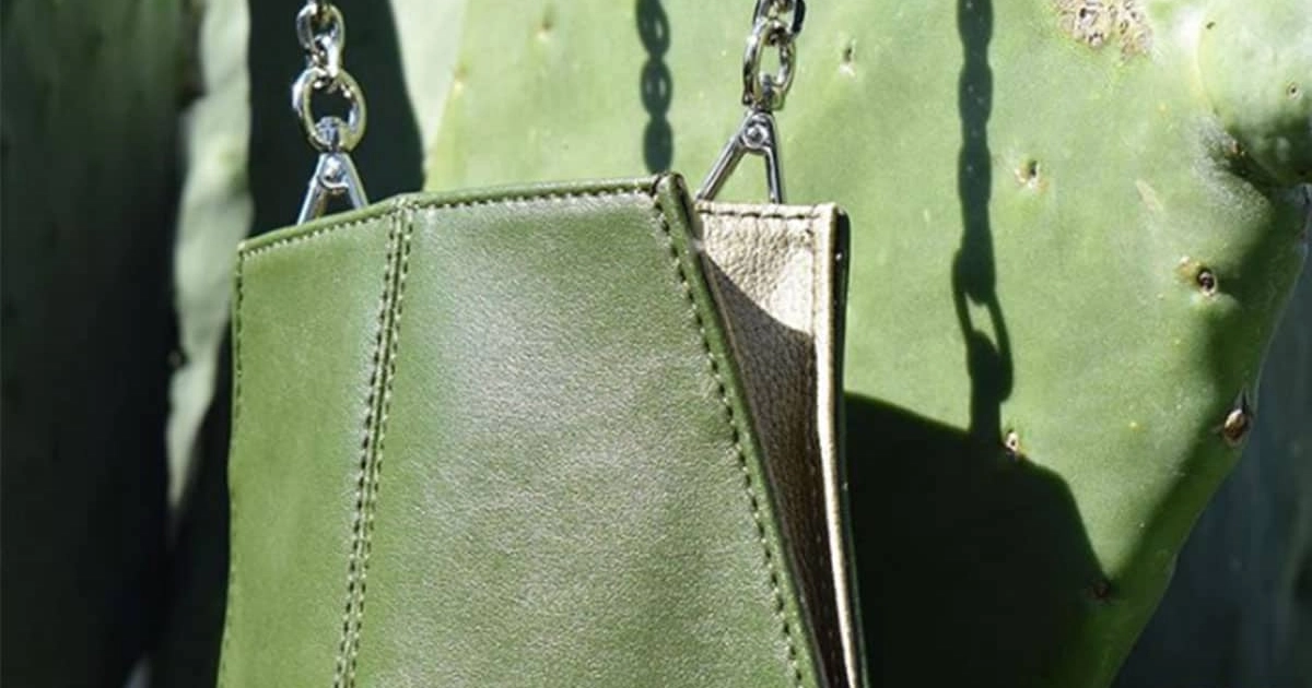 These Guys Are Making Faux Leather From Cacti! - COWGIRL Magazine