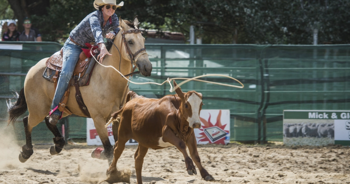 10 Common Team Roping Terms