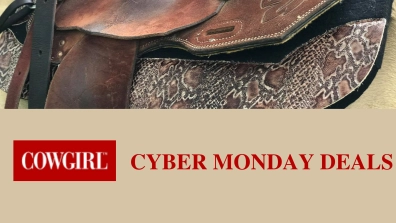 Give Your Tack An Extra Color Pop With These 5 Breast Collars - COWGIRL