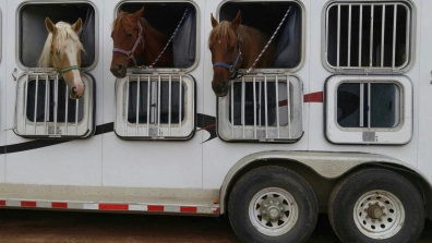 horse trailer COWGIRL magazine