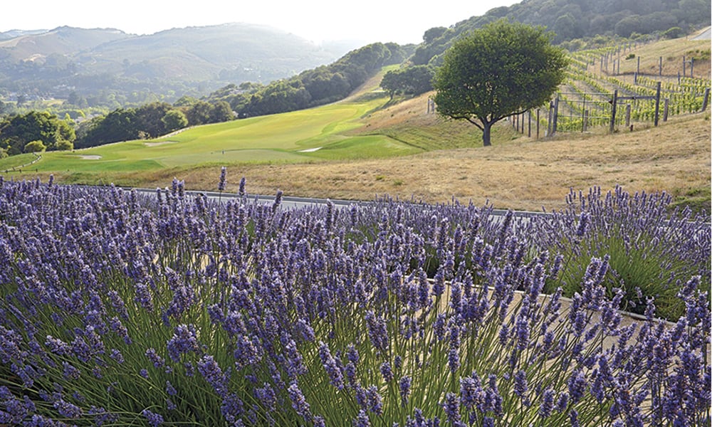 Kvc Ranch REMARKABLE RANCHES: Carmel Valley Ranch - COWGIRL Magazine