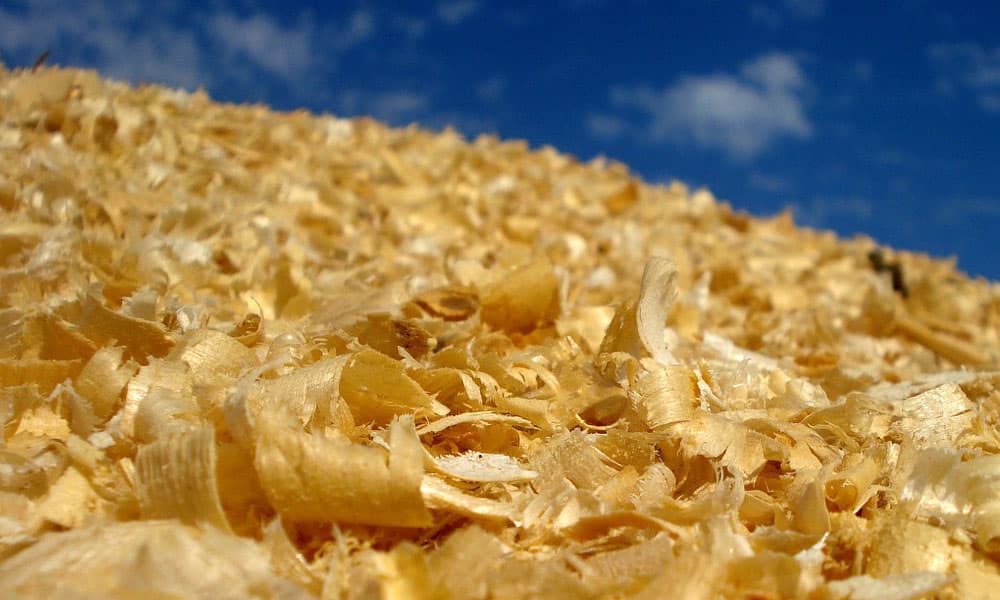 Which Bedding To Use Shavings Vs Straw Cowgirl Magazine