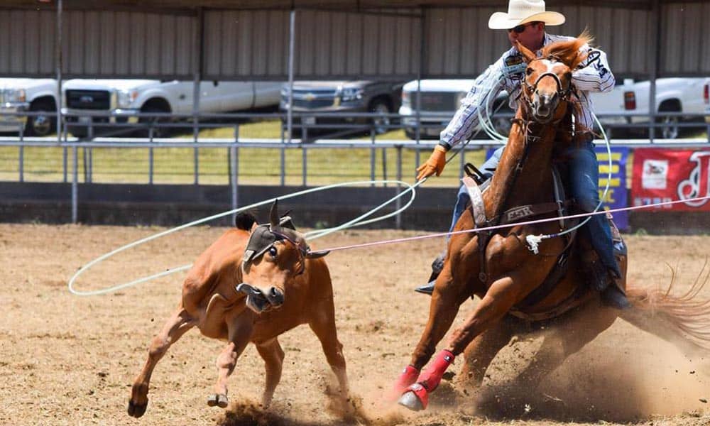 Windy Ryon Roping The Windy Ryon Memorial Roping