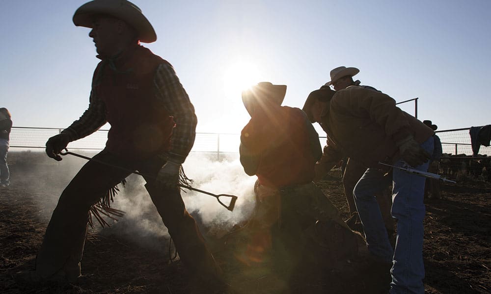 Women Of The Land - COWGIRL Magazine