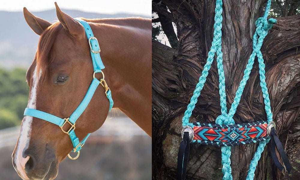 5 Halters For The Turquoise Obsessed Cowgirl - COWGIRL Magazine