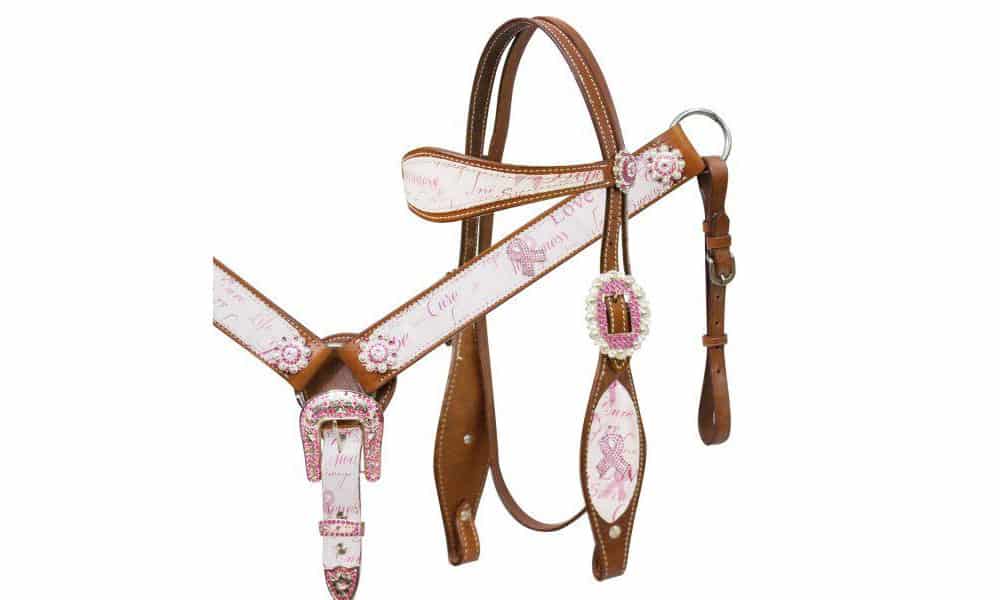 Ensemble western de bride à frontal et bricole Trailsman avec Gravures