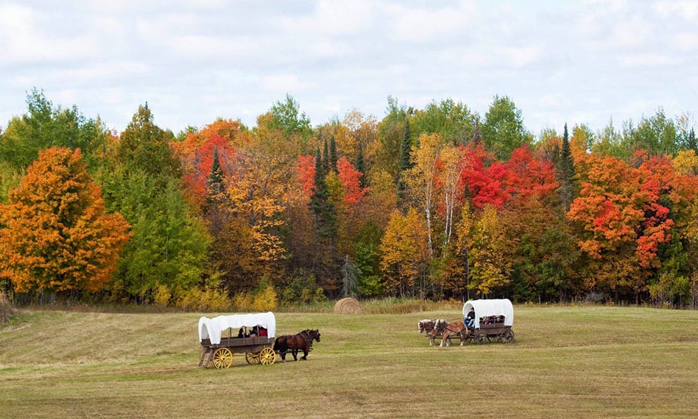 Horses Who Just Can't Get Enough Of Fall - COWGIRL Magazine