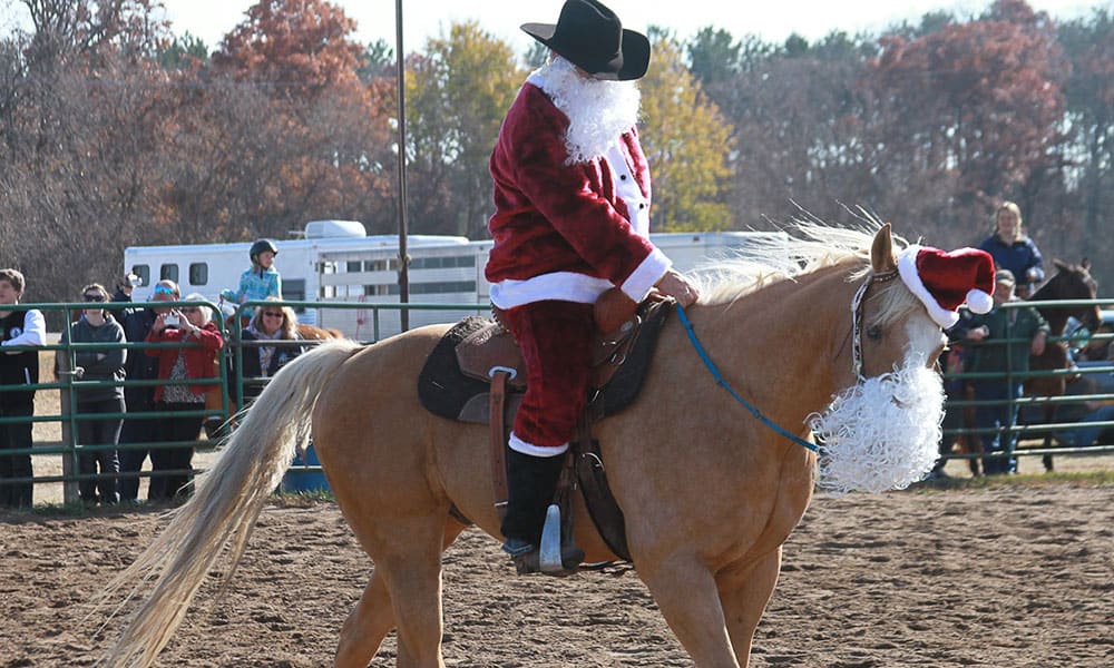 christmas fancy dress on horseback 19 horses get into the festive spirit with some very snazzy outfits