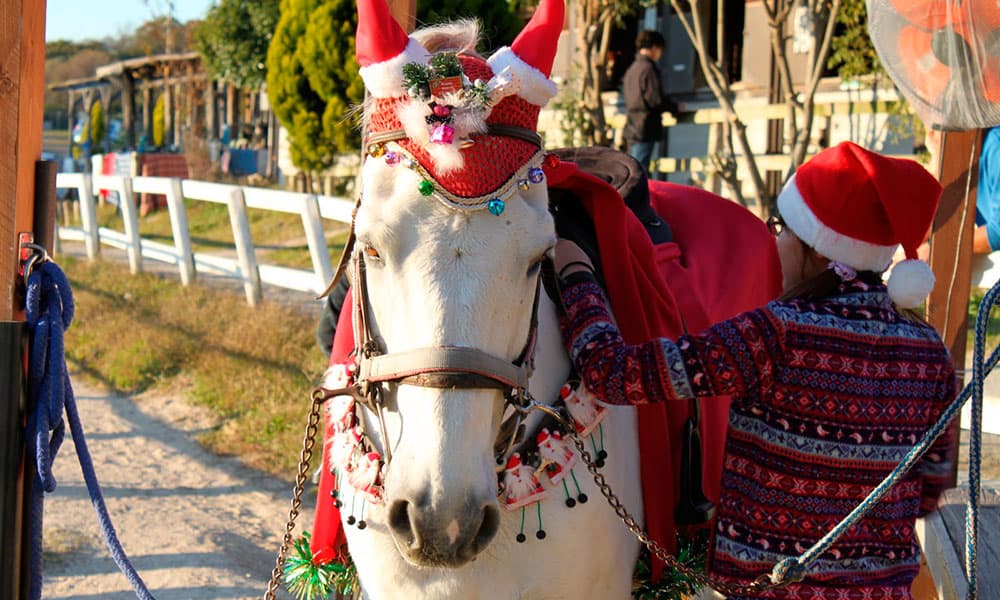 white christmas dresses Christmas Costume | Best Holiday Outfit