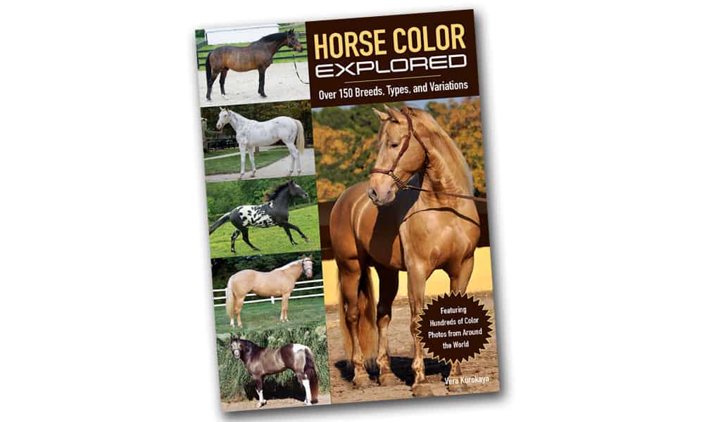 Books We Love: Horse Color Explored - COWGIRL Magazine