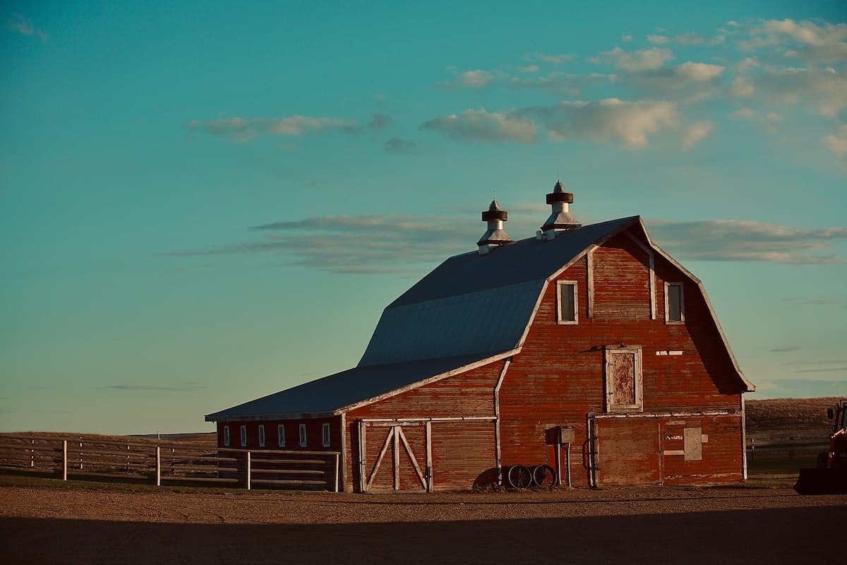 Buttercup Field Horse Barn Along Wood Stock Photo 55008655 | Shutterstock, image size:1200x800