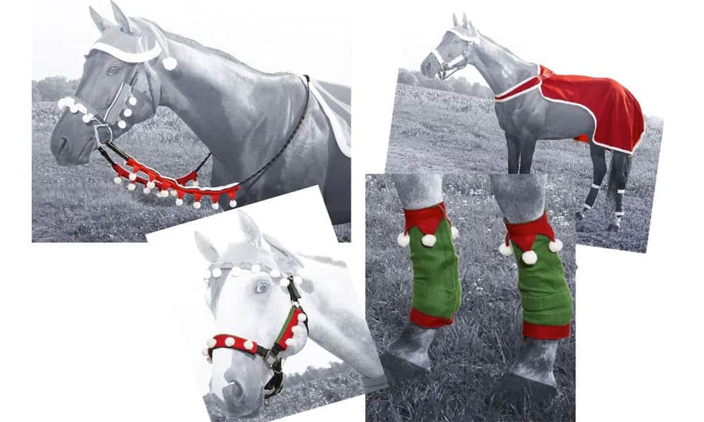 horses dressed for christmas Dress Your Horse Up A-Line Wedding Dresses & men's handmade shoes maryland Horse wallpaper Color:Ivory-Cream