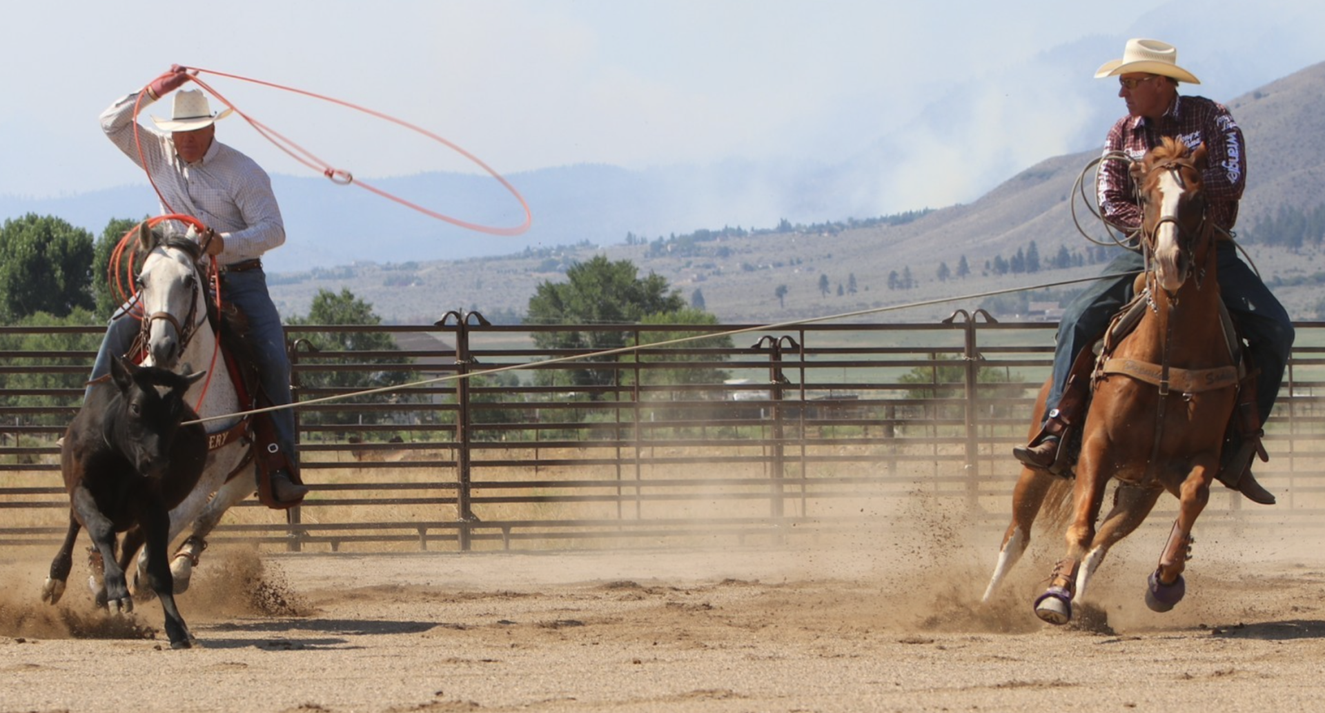 Team Roping Heading Tips
