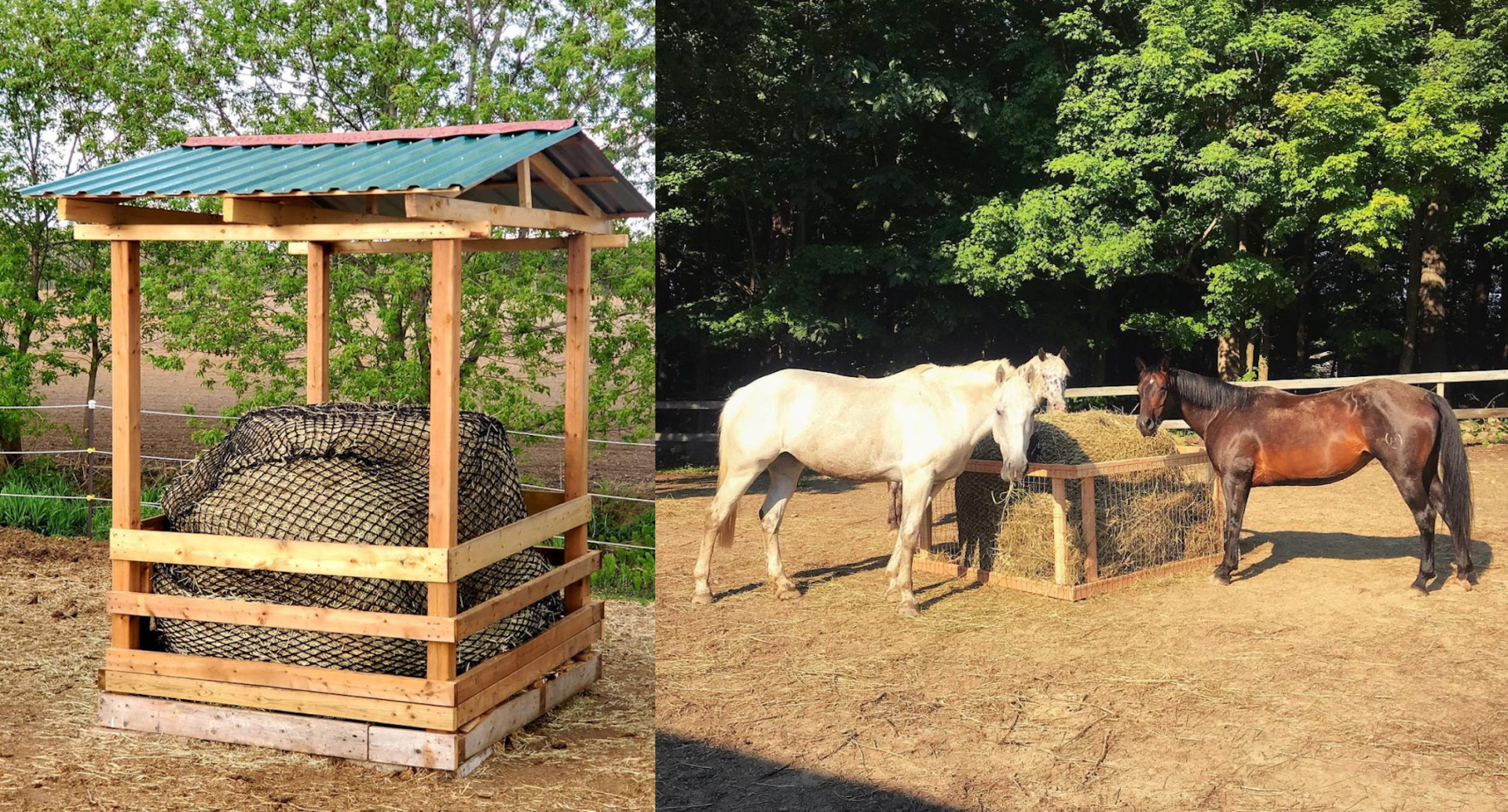 Diy Horse Hay Feeder: Easy, Affordable & Durable Designs