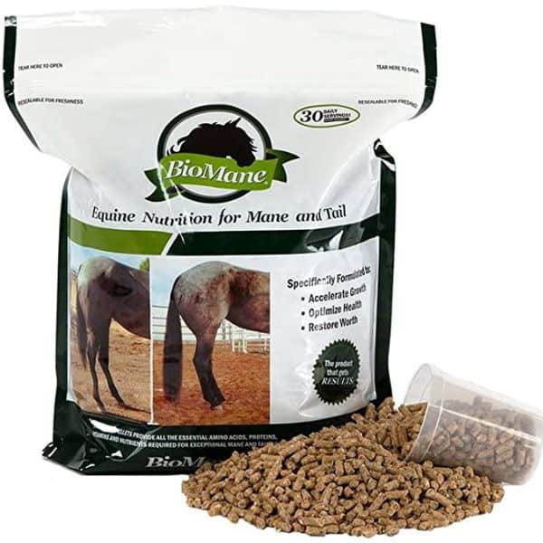 Five Products To Protect Your Horse's Coat - COWGIRL Magazine