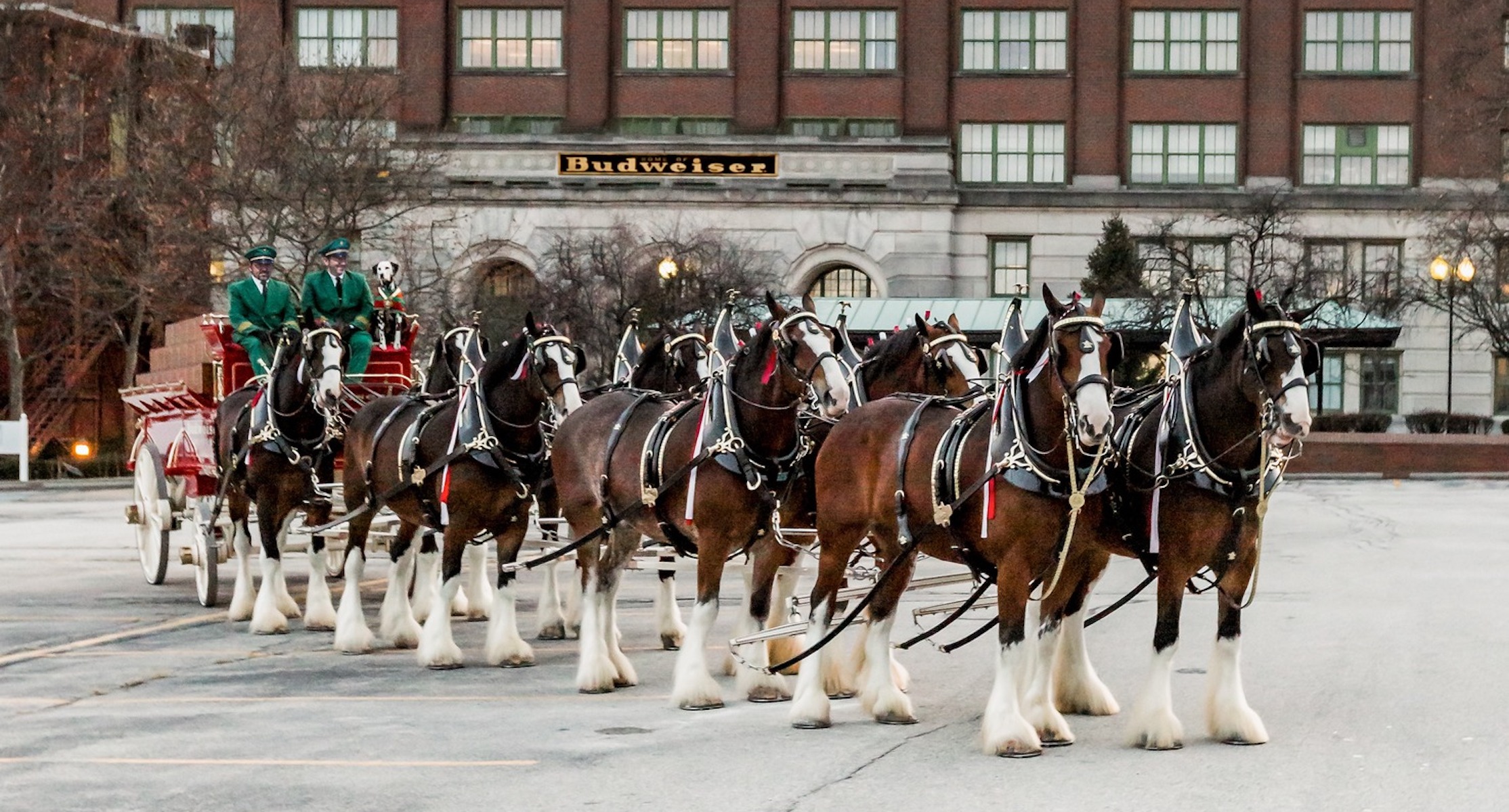 The Budweiser Clydesdales Are Back! - COWGIRL Magazine, image size:2228x1200