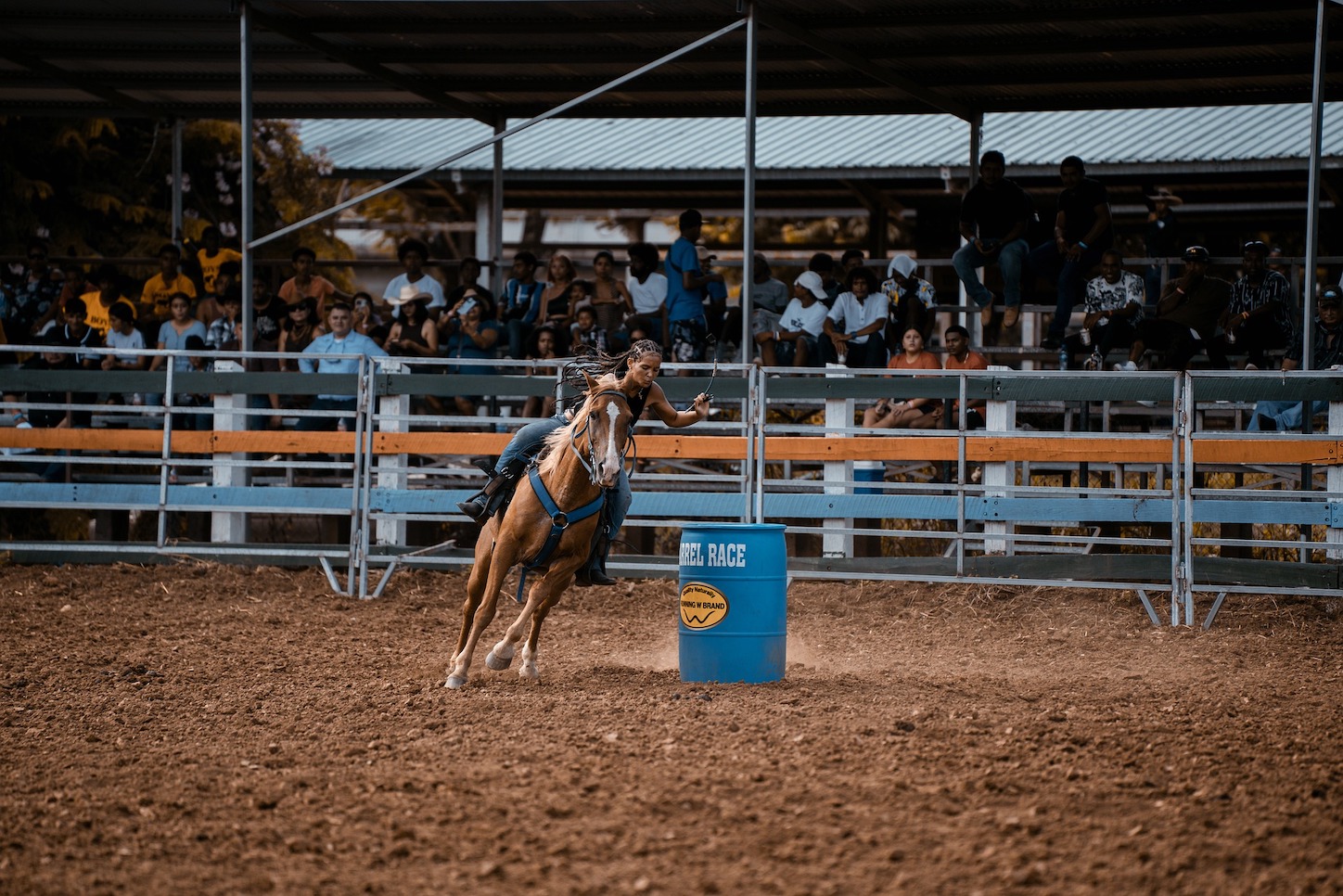5 Things Your Horse Needs to Know Before Attending A Show or Rodeo ...