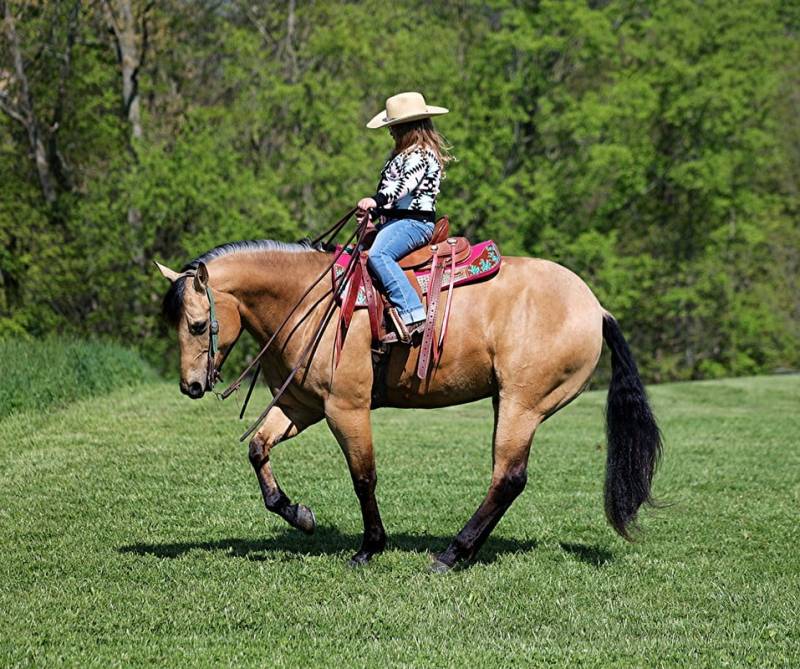 Meet The Sisters Behind The Cowgirl Cadillacs Horse That Sold For $117,000
