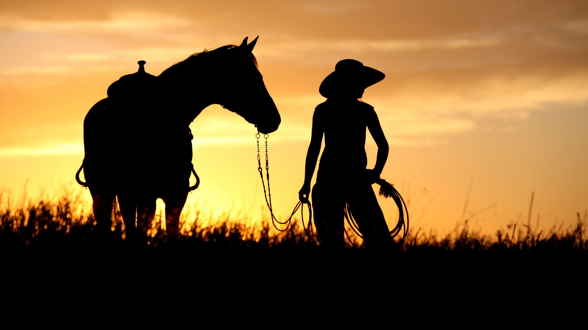 Photography — Trisha Price Photography, image size:1920x1080