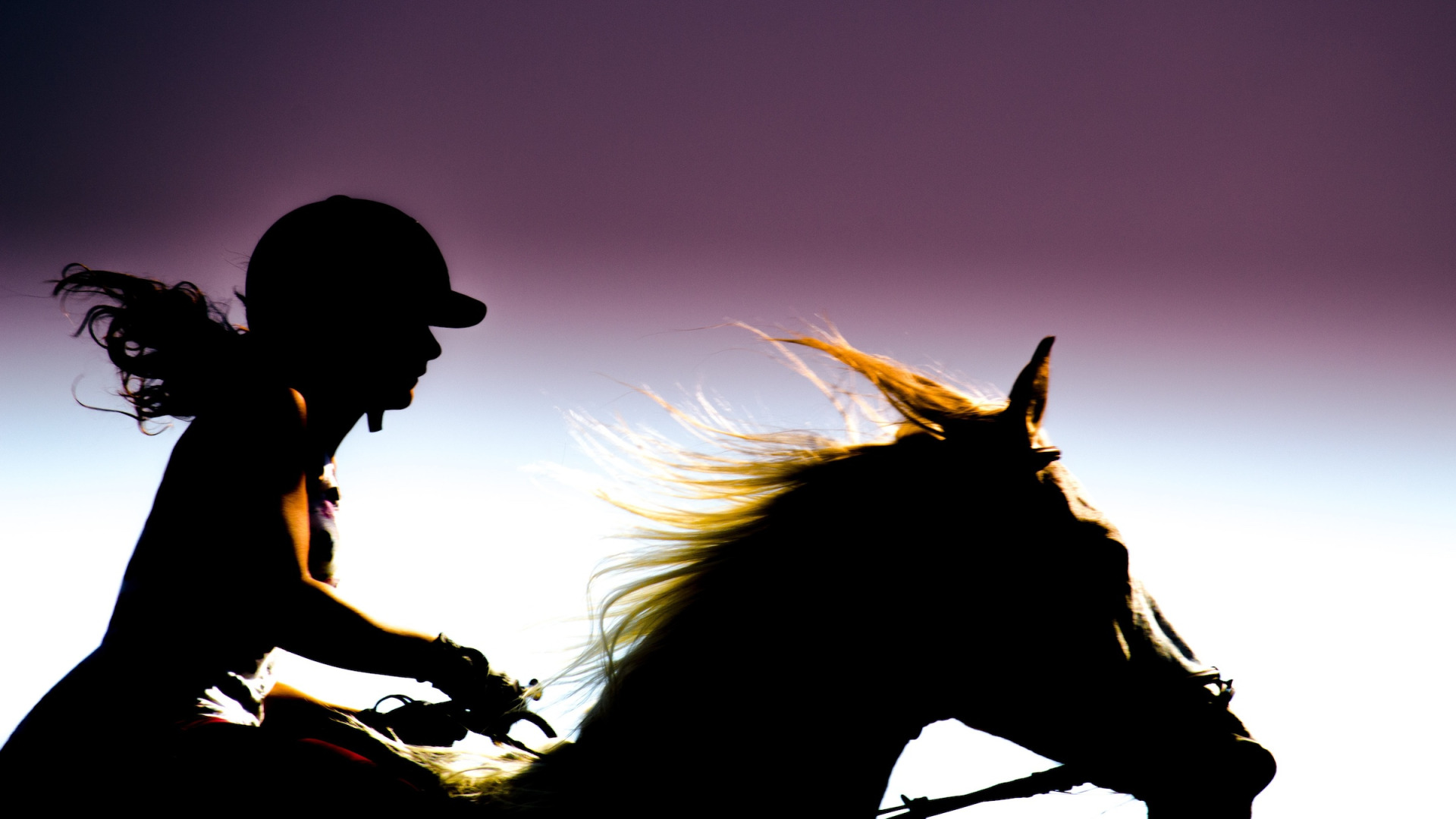 5 Reasons To Learn English And Western Riding