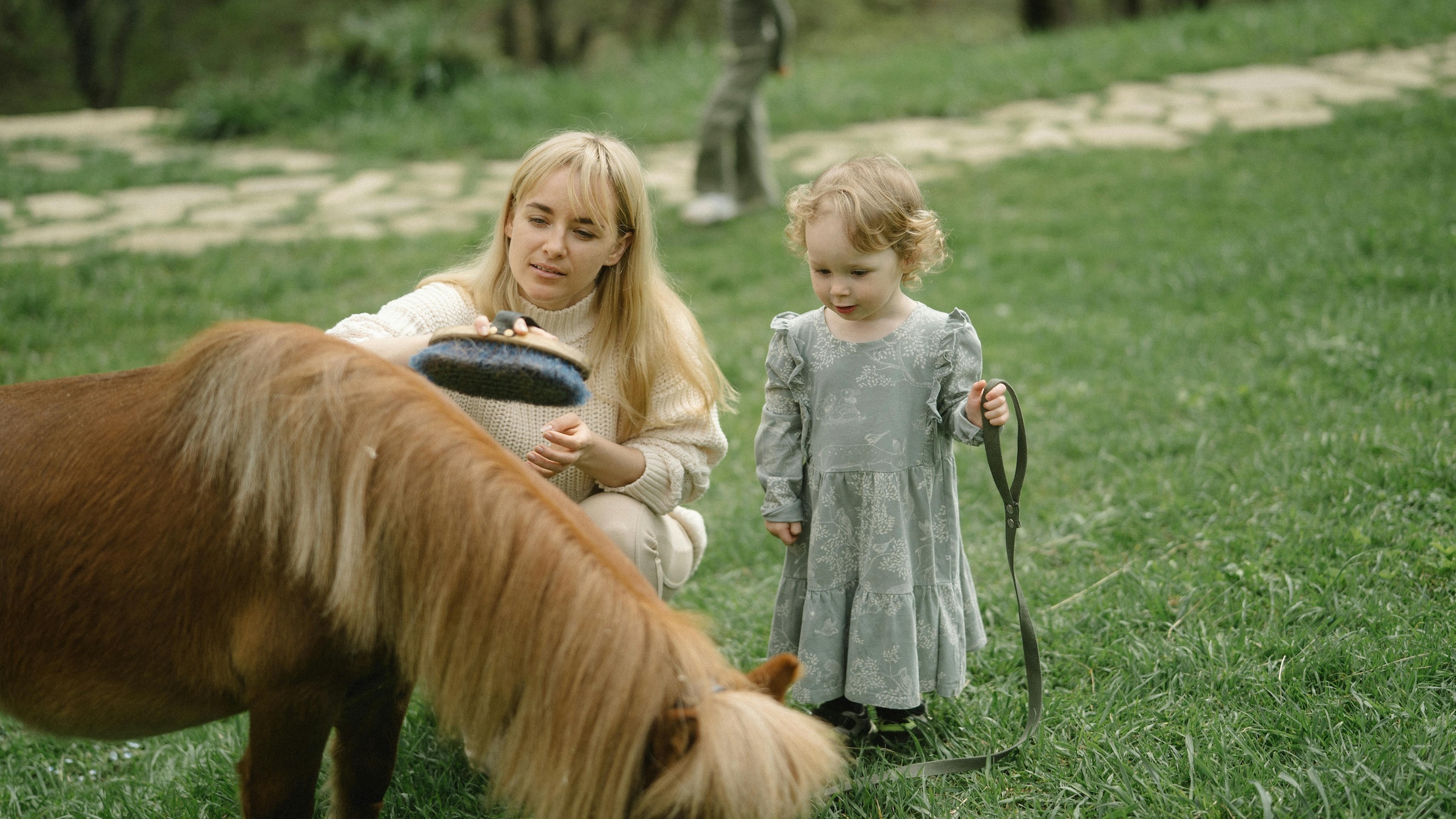 Juggling Family And The Horse Show Life juggling-family-and-the-horse-show-life