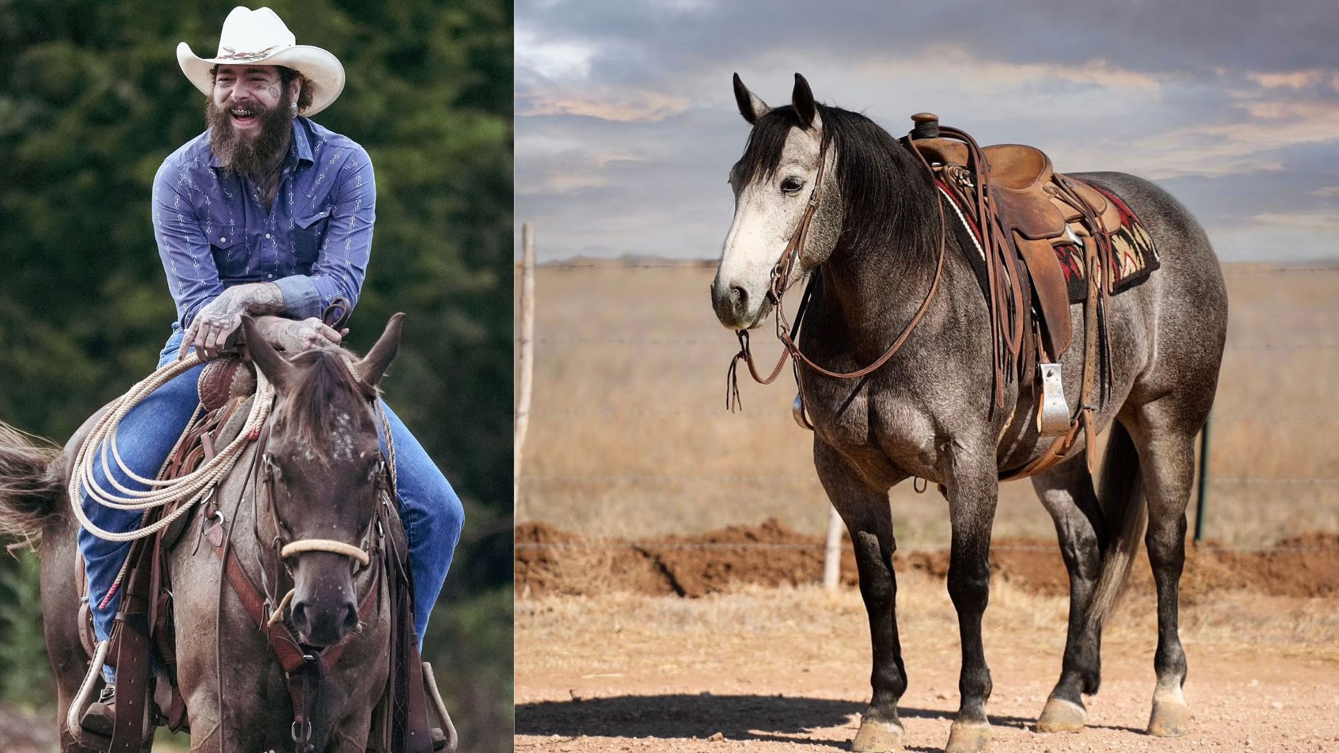 Post Malone Bought A Horse — Now We Say Congratulations