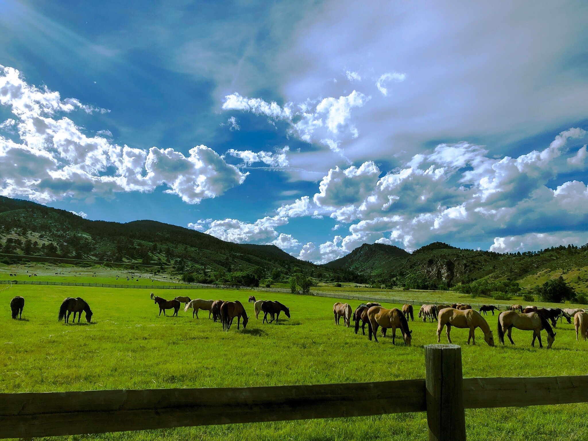 67935602_10156504356572361_4827337902612545536_o