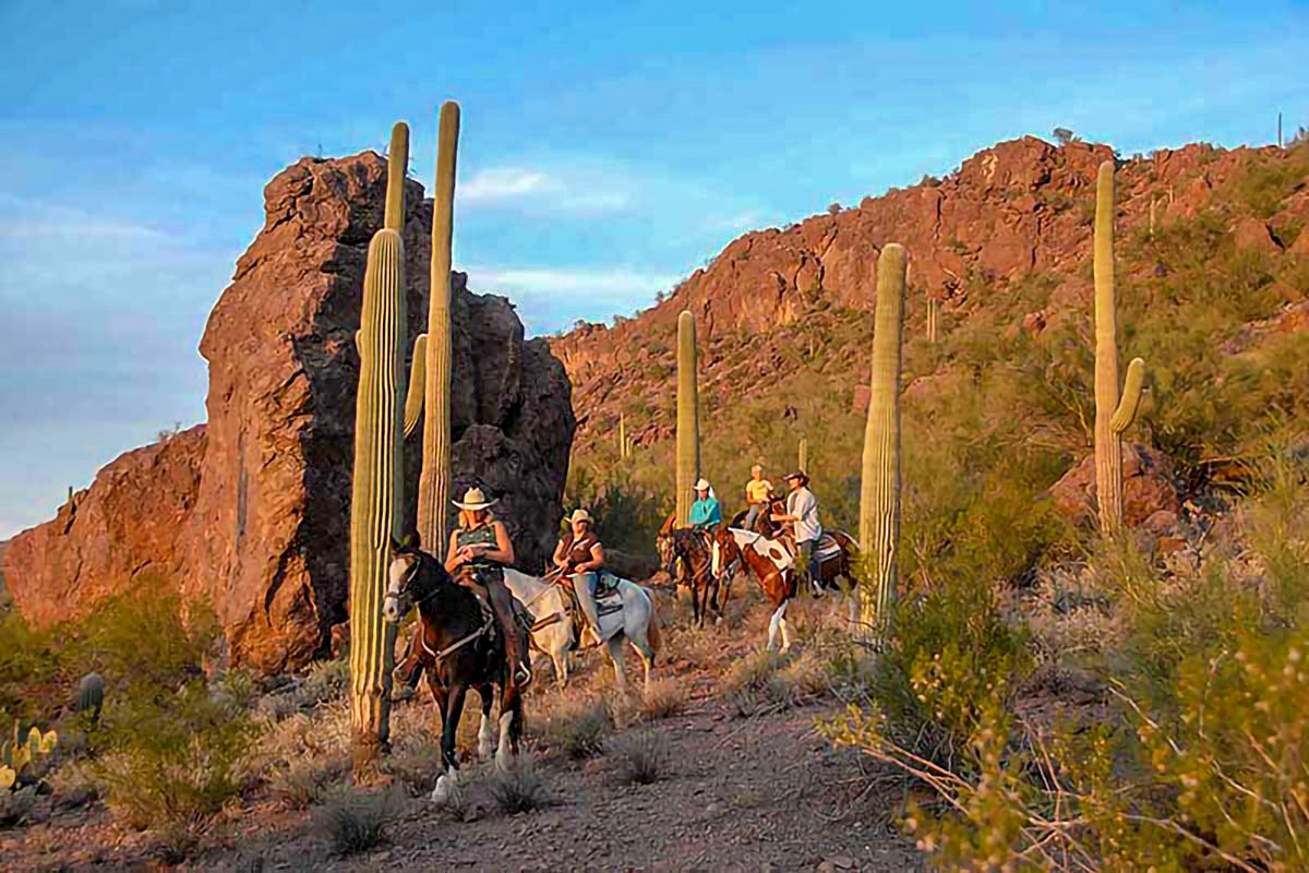 Yvette-Cardozo-Tucson-Ranch-people-riding-horses-2