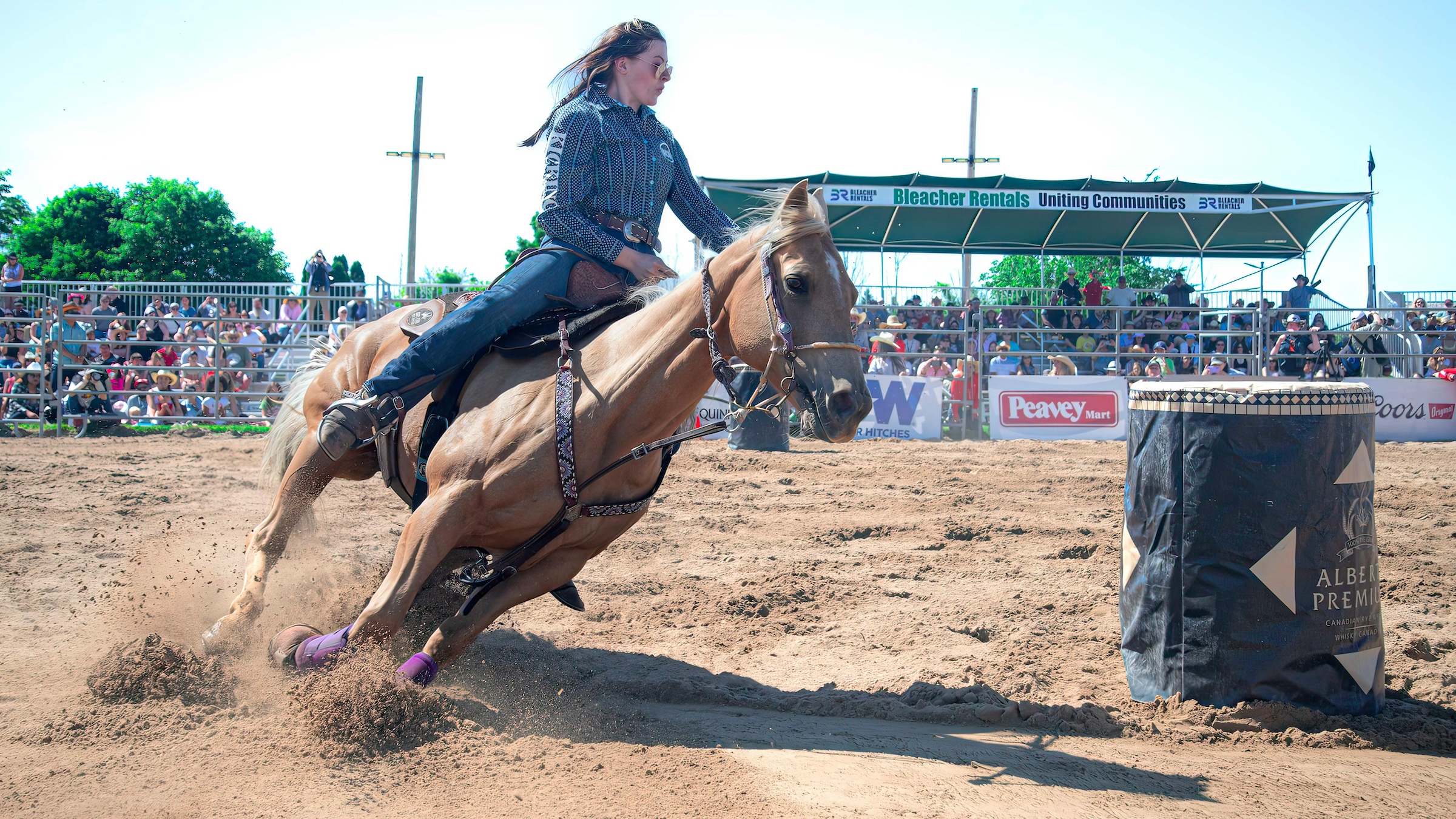 How To Protect Your Barrel Horse From Injury