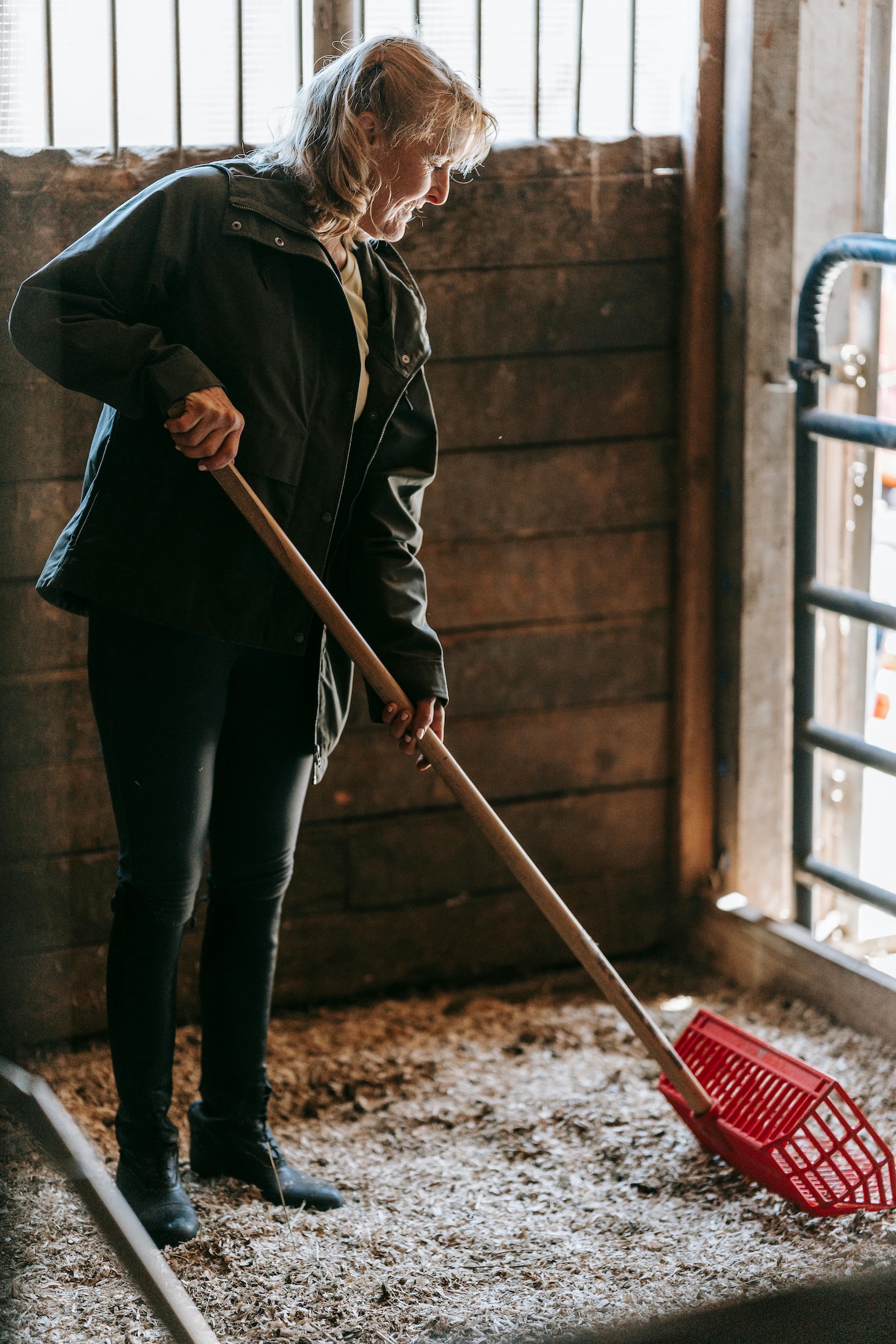 10 Ways To Give Back To The Horse Community