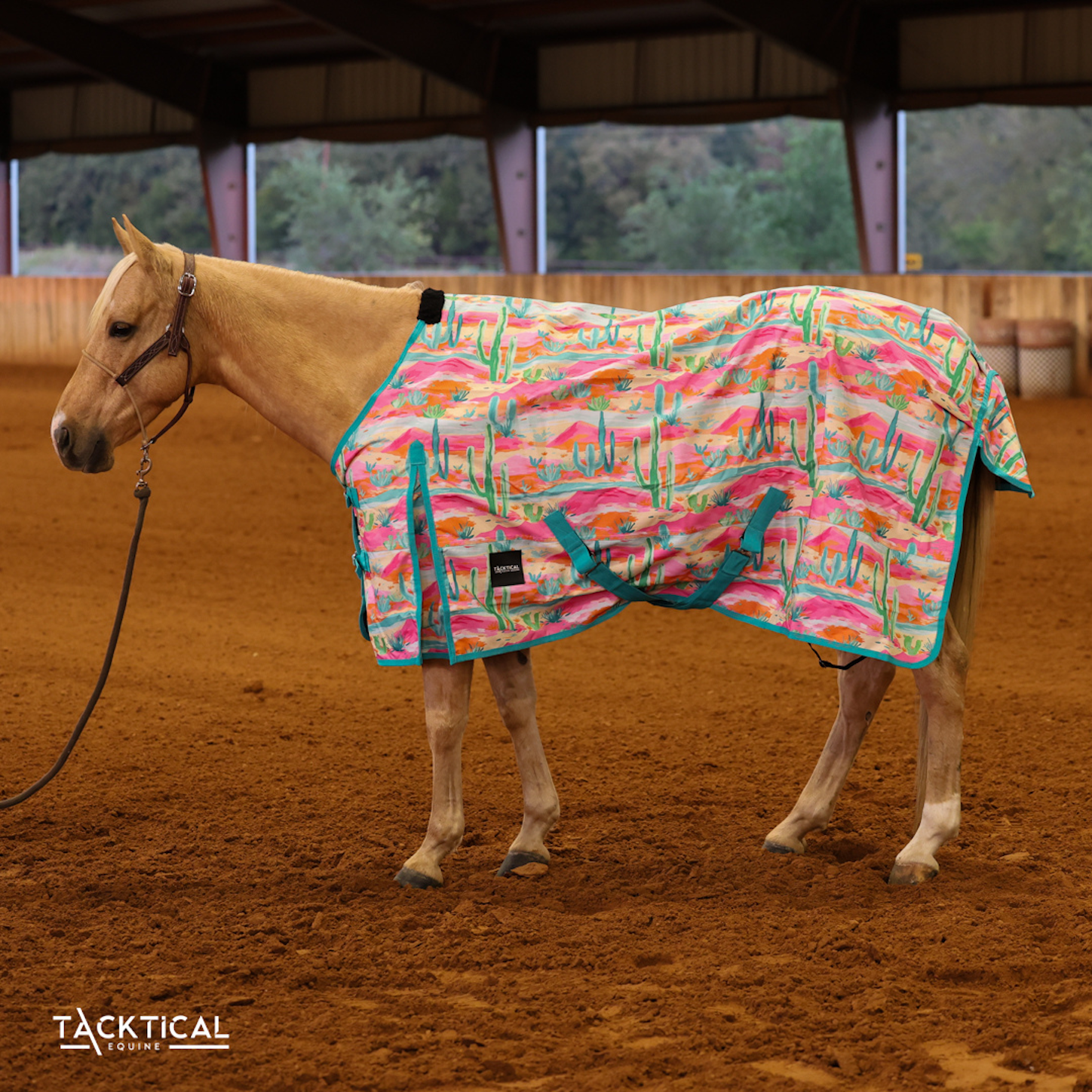 Turnout Rug Fun Pattern Keep Your Horse Cozy With A Fun Turnout Sheet