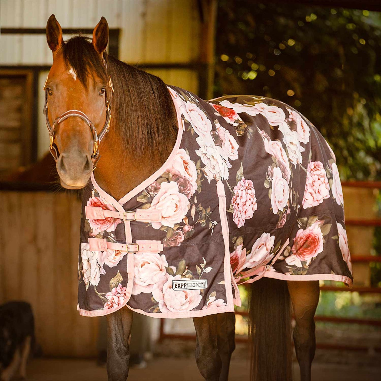 Turnout Rug Fun Pattern Keep Your Horse Cozy With A Fun Turnout Sheet