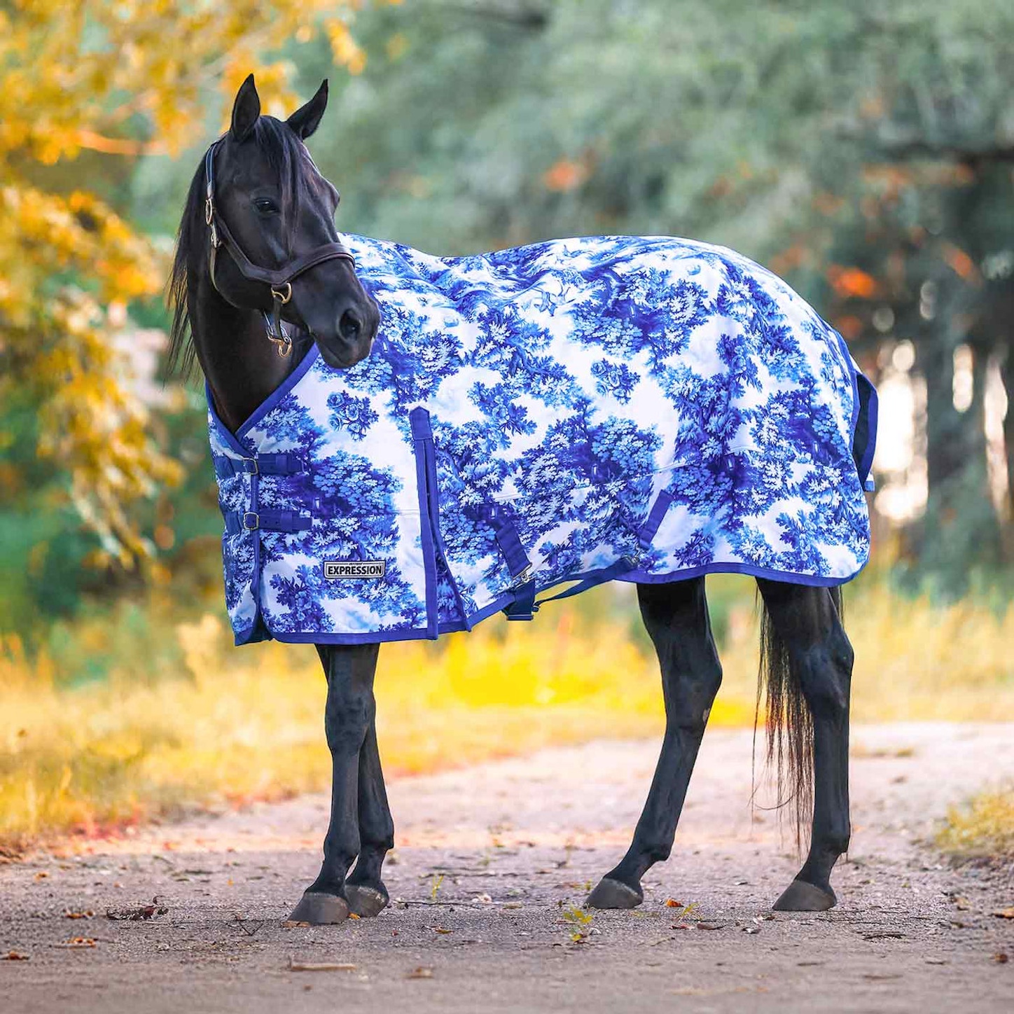 Turnout Rug Fun Pattern Keep Your Horse Cozy With A Fun Turnout Sheet
